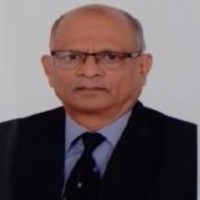 Mr. Ali Ashraf Mamun, Senior Consultant